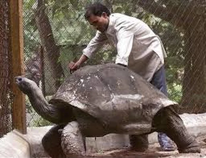 PM Modi Meets World’s Oldest Living Land Animal During Seychelles Visit