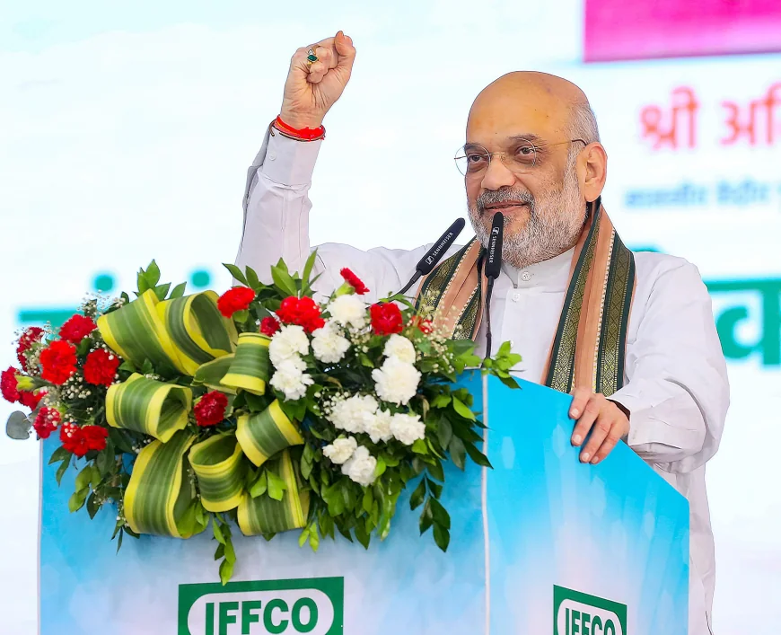Amit Shah Wants Farmers to Sell Pulses and Oilseeds Directly, No Middlemen Needed