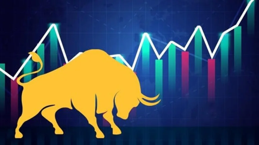 Big Day for Investors! Sensex Ends Nearly 800 Points Up