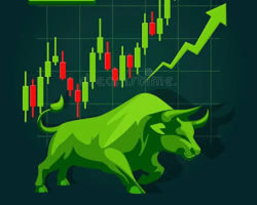 Sensex Jumps Over 800 Points, Nifty Ends Above 24,000 as Banking and IT Stocks Shine