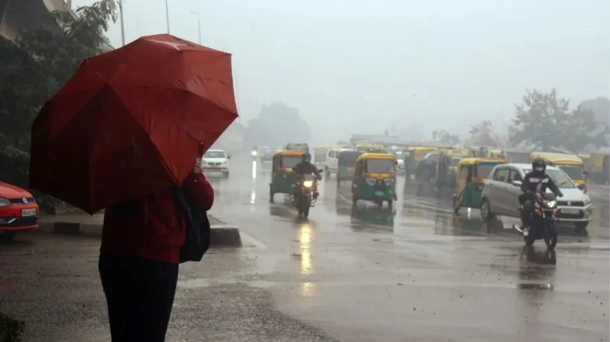 Delhi Sizzles at 41.8°C as Heatwave Continues to Test Residents