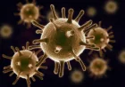 Viral Infections Rise as Monsoon Pauses, Doctors Report Surge in Flu and Fever Cases