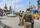 Nearly 700 Detained in J&K Security Sweep Targeting Terror Support Network