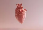 Heart Disease Causes 32% of Global Deaths, WHO Calls for Early Prevention