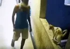 Ambernath Cat Death Case: FIR Registered