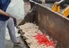 Ghaziabad Food Safety Raid: 200 Kg of Suspected Adulterated Soya Chaap Destroyed