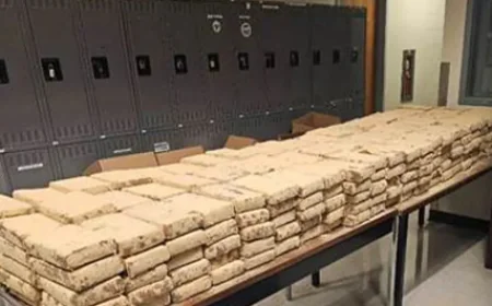 Cocaine Worth Nearly $20 Million Seized From Truck at US Border