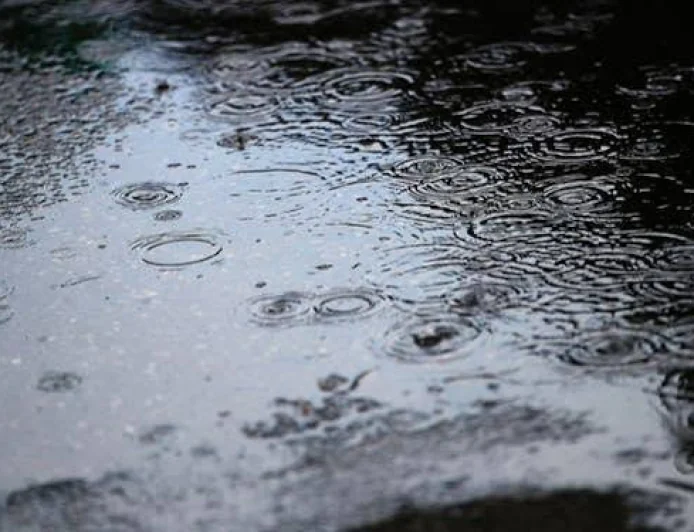 IMD Forecasts Heavy Rainfall in Punjab, Haryana and Chandigarh From July 2
