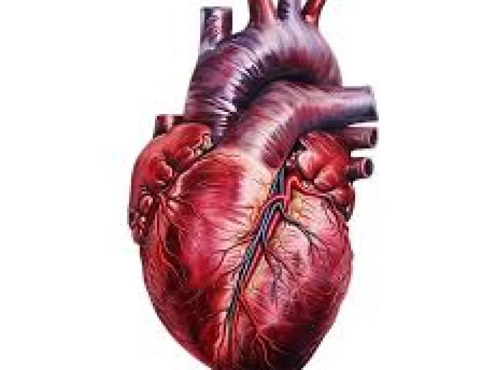 New Study Finds Cholesterol Pathway Disruption May Drive Heart Cell Damage in Dilated Cardiomyopathy