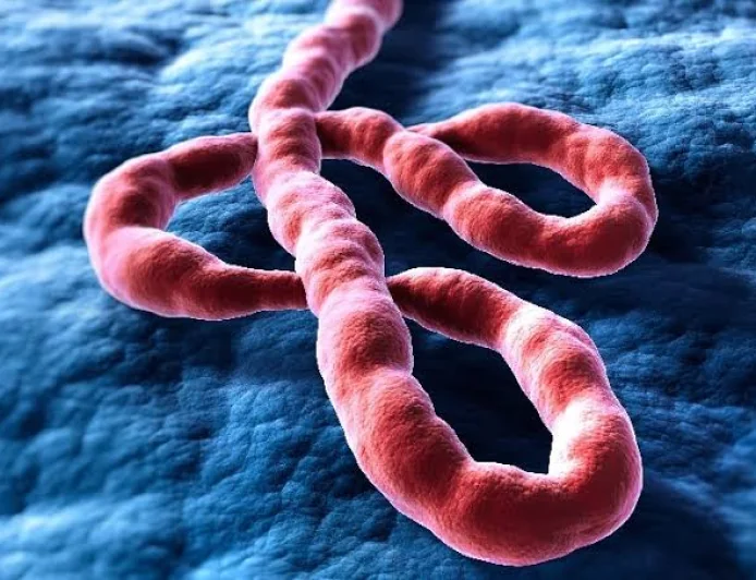 Congo Ebola Outbreak May Be Far Larger Than Reported, WHO Warns