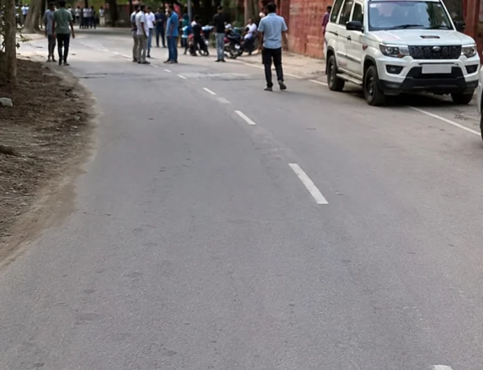 Dead Cow Found Outside Temple in Delhi's Usmanpur, Police Launch Probe