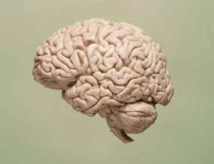 Scientists Discover How Practice Rewires the Brain to Enable True Multitasking