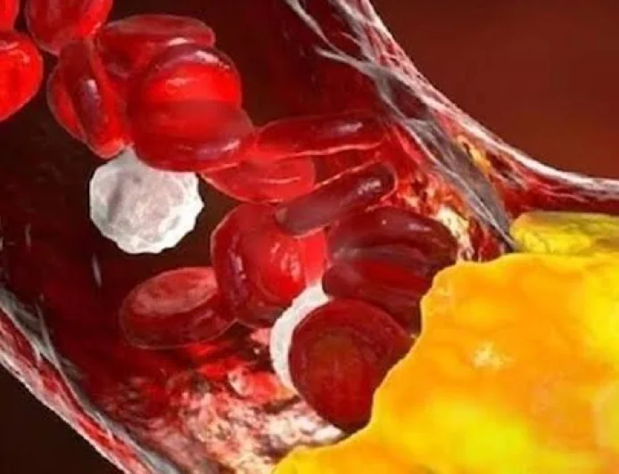 Low HDL Drives India’s Dyslipidemia Burden, ICMR–MDRF Study Finds