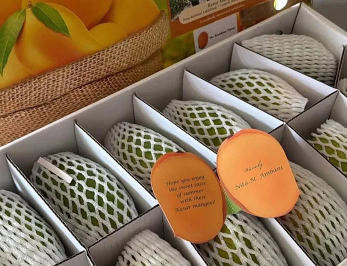 Pregnant Karishma Tanna Receives Heartwarming Gift from Nita Ambani