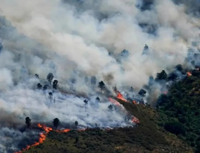 Spain wildfire rages near tourist town of La Vall d'Uixó, forcing evacuations and emergency response