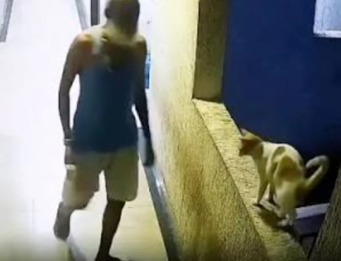 Ambernath Cat Death Case: FIR Registered