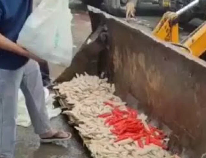 Ghaziabad Food Safety Raid: 200 Kg of Suspected Adulterated Soya Chaap Destroyed