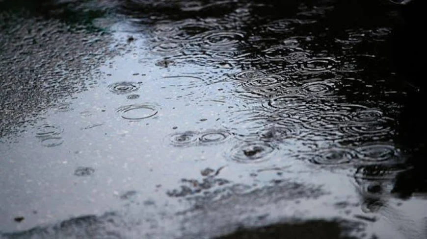 IMD Forecasts Heavy Rainfall in Punjab, Haryana and Chandigarh From July 2