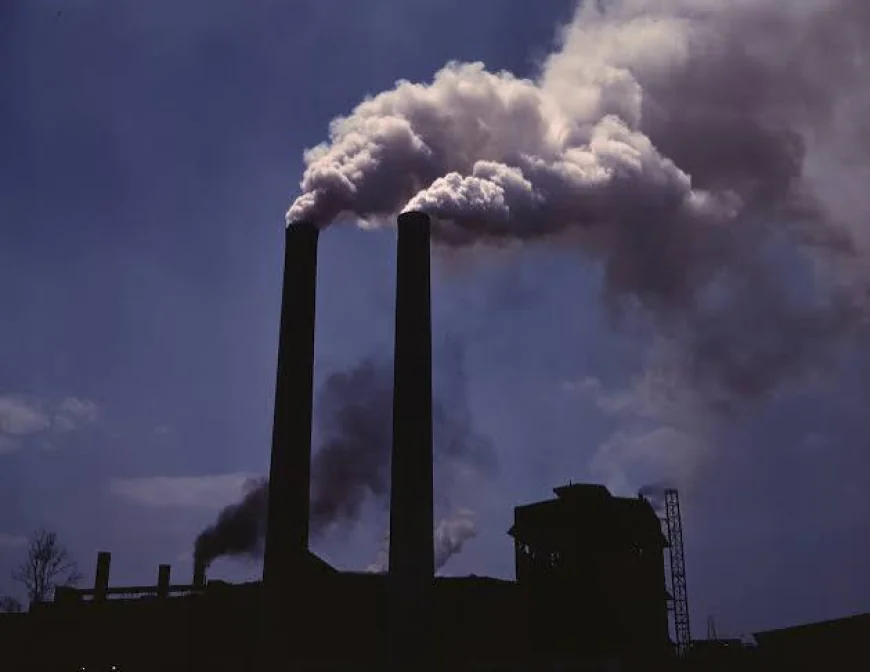 Air Pollution May Increase Health Risks for Haemodialysis Patients, Study Finds