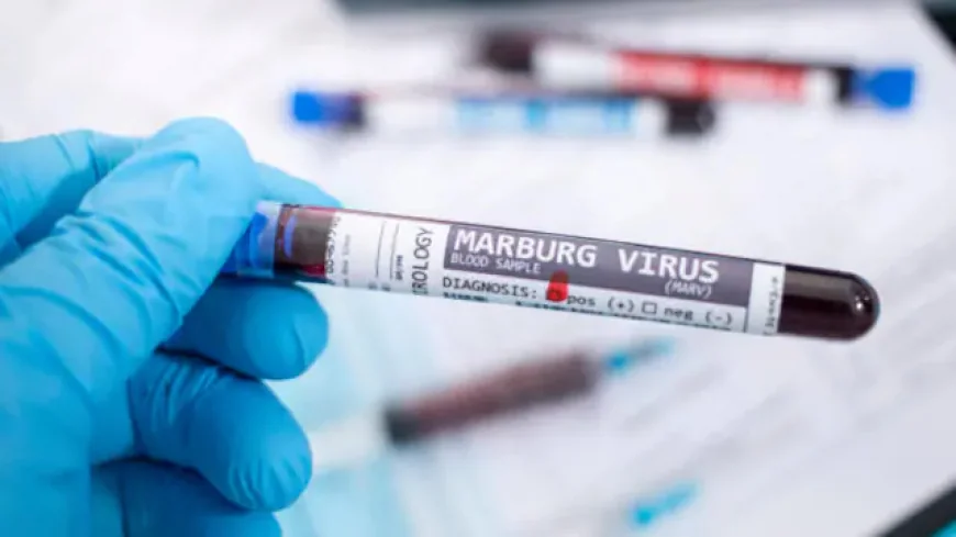 WHO Confirms Marburg Virus Case in Ugandan Toddler Amid Enhanced Ebola Surveillance