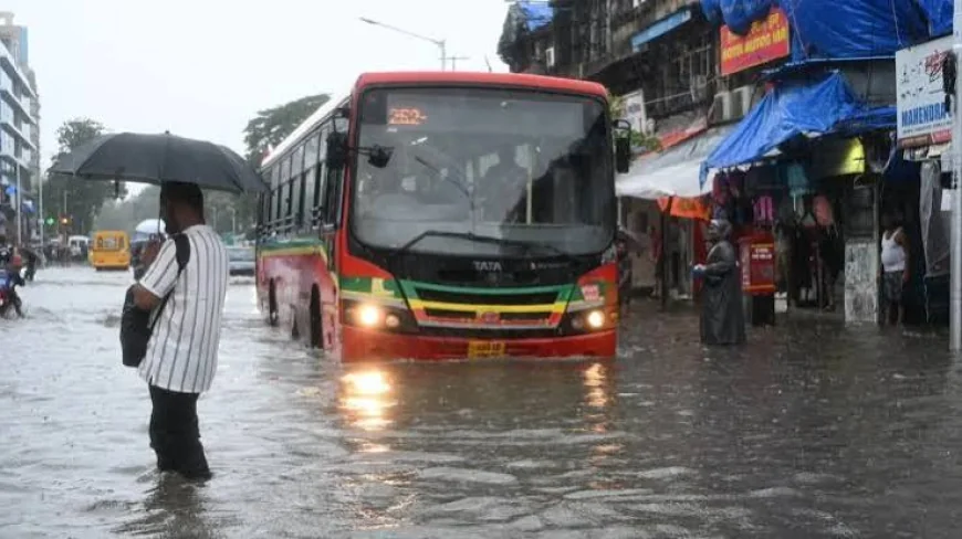Mumbai Braces for Heavy Rain as IMD Issues Red Alert for Weekend