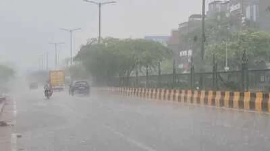 Delhi Rain Brings Relief From Humidity; Chhatarpur Records 49 mm Showers