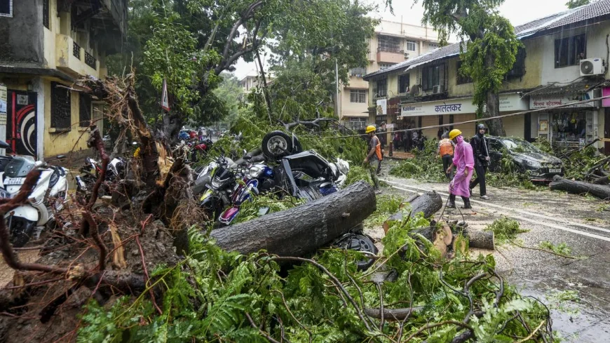 Mumbai Under Non-Stop Rains: Three Dead, Flights Delayed, Schools Shut in Mumbai, Thane