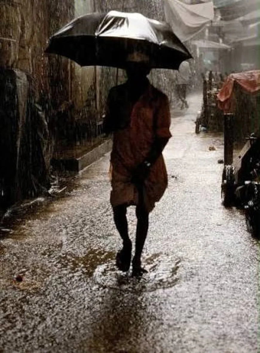 Mumbai Schools and Colleges Closed as IMD Issues Orange Alert for Heavy Rain