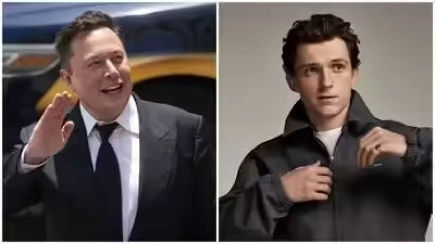 Elon Musk's Remark on Tom Holland Sparks Confusion, Internet Realises He Meant the Historian