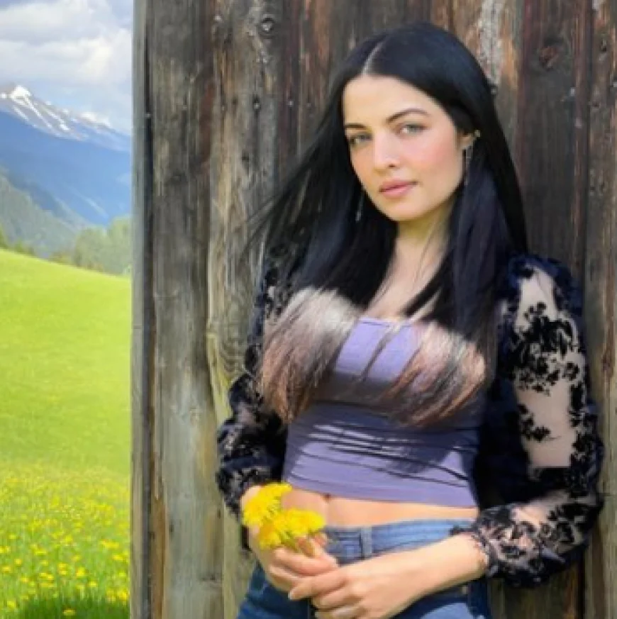 Are Prenuptial Agreements Valid in India? Celina Jaitly's Remark Revives the Debate