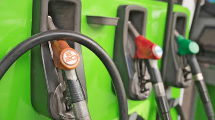 E20 Petrol May Reduce Mileage by Up to 5% but Offers Cleaner Fuel Benefits: Ministry