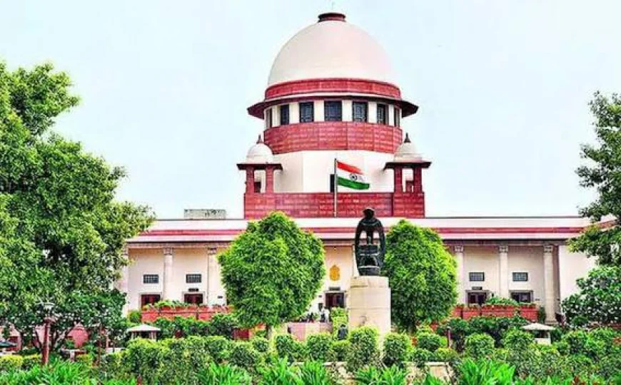 Petitioner Abuses Chief Justice, Throws Papers In Supreme Court; Bench Shows Leniency
