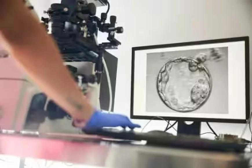 IVF Under the Lens: NCW Forms Expert Committee to Strengthen Fertility Clinic Oversight