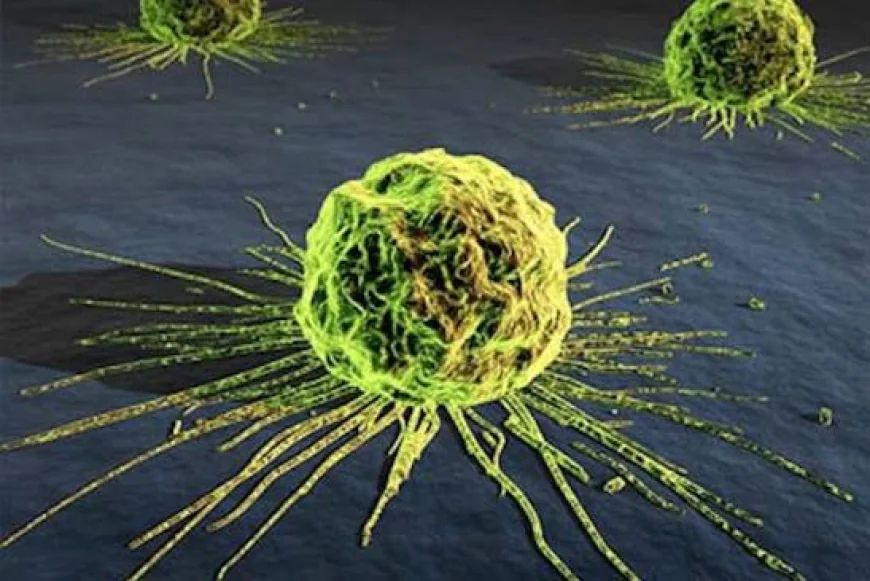 Cancer Could Affect 92% of World’s Population Directly or Through Family, WHO Warns