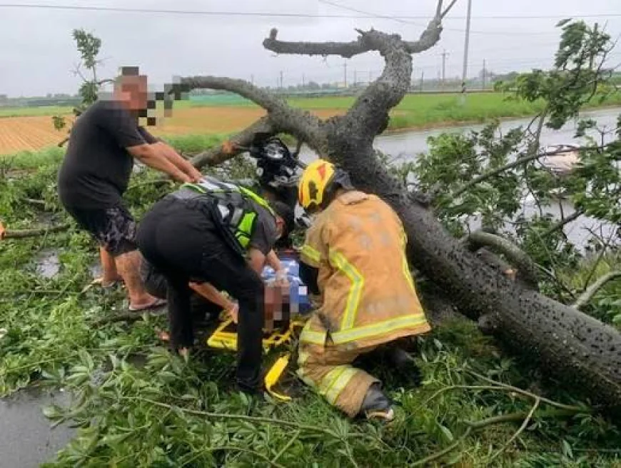China Evacuates Over 1 Million People as Typhoon Bavi Nears Coast