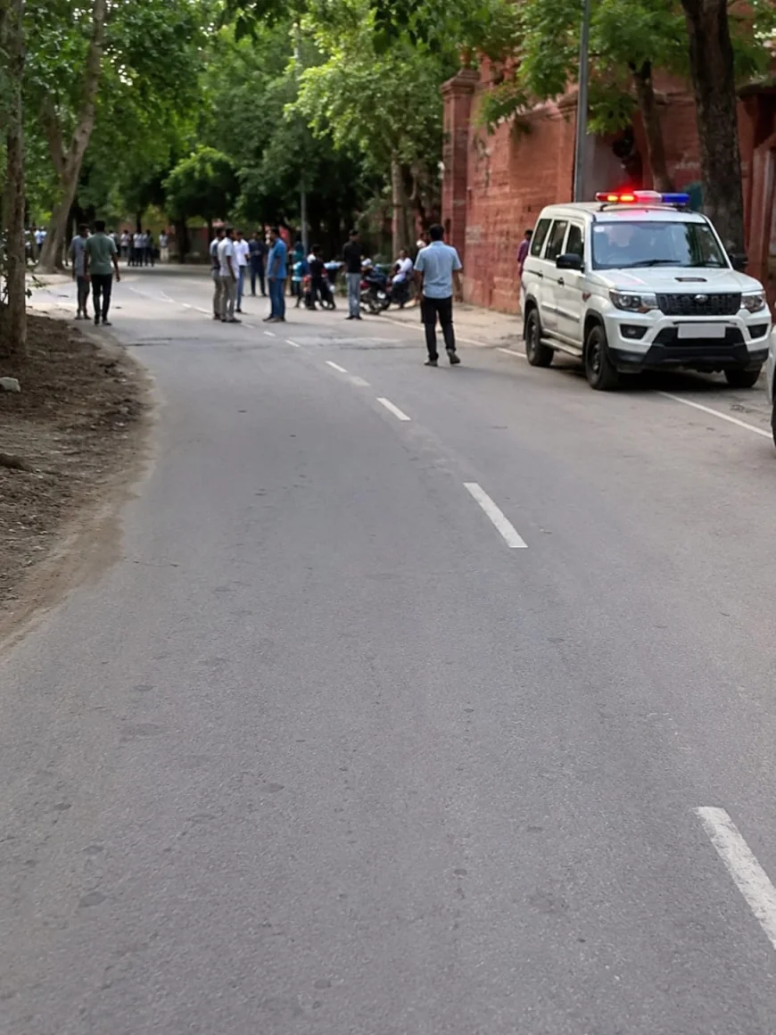 Dead Cow Found Outside Temple in Delhi's Usmanpur, Police Launch Probe