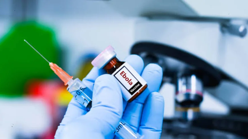 Oxford and Serum Institute Begin Human Trials of New Ebola Vaccine