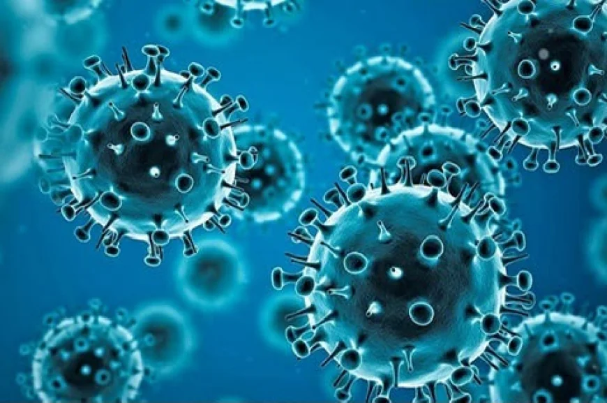 No Need to Panic, Say Doctors as Covid-19 Cases Climb Across India