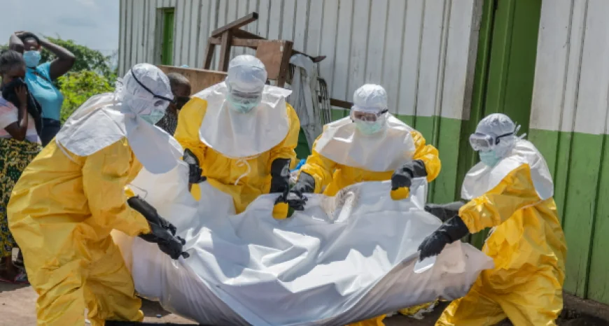 WHO Warns Most New Ebola Cases In Congo Linked To Unknown Transmission Chains