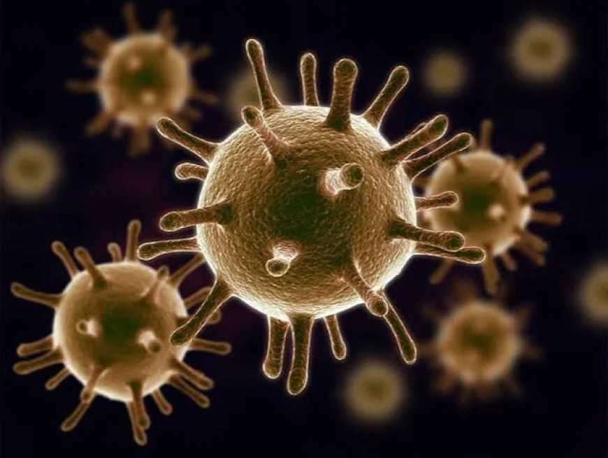 Viral Infections Rise as Monsoon Pauses, Doctors Report Surge in Flu and Fever Cases