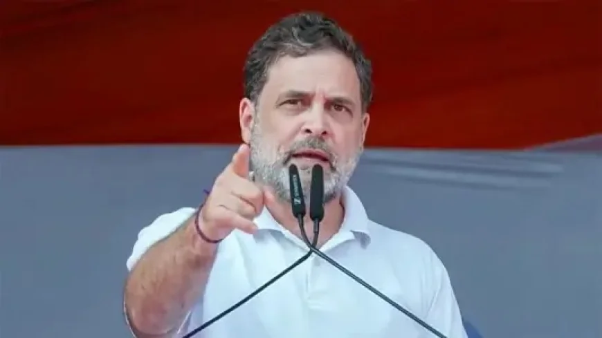 Rahul Gandhi takes jibe at Centre over NEET protests, says ‘criminals roam free while students are beaten’