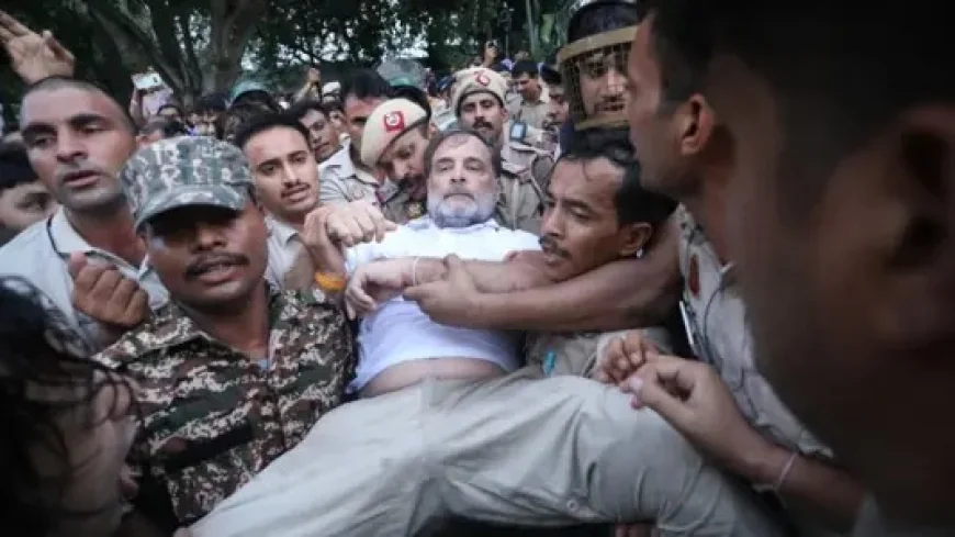 High drama in Delhi as Rahul Gandhi, Congress leaders forcibly removed during dharna near PM house