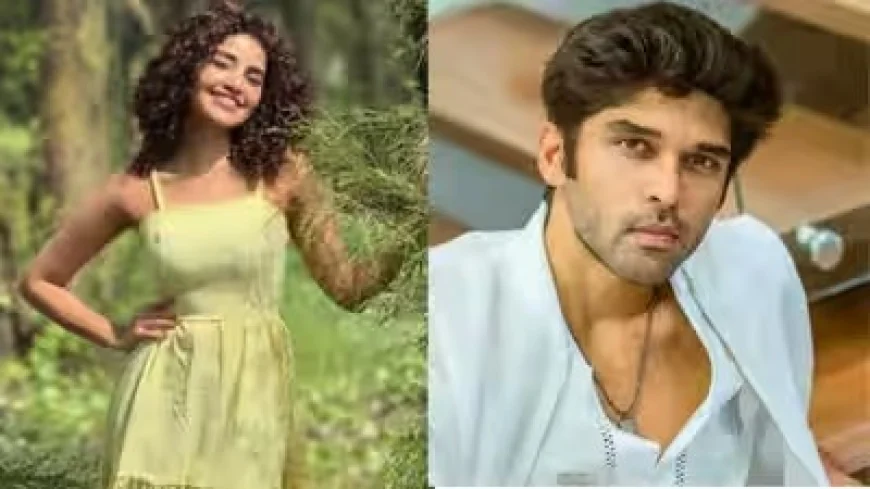Slipper Slap or Just a Rumour? Anupama Parameswaran-Dhruv Vikram Buzz Takes Over the Internet