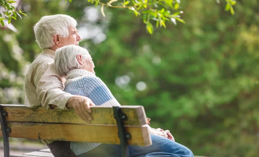 Older Kidney Donors Show Positive Long-Term Health Outcomes: Study