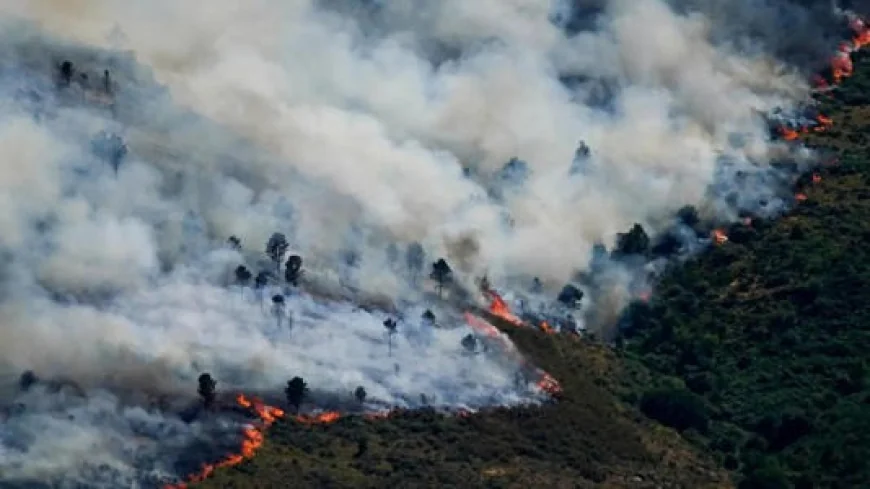 Spain wildfire rages near tourist town of La Vall d'Uixó, forcing evacuations and emergency response