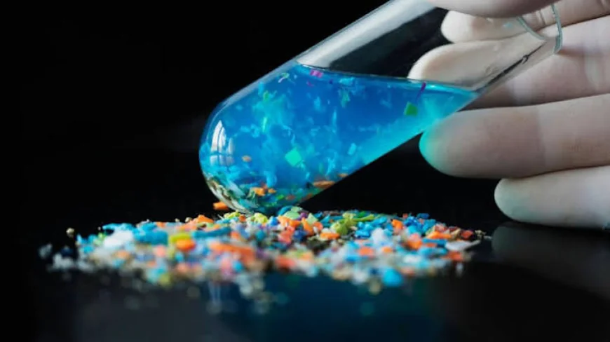 PVC Microplastics May Weaken Radiotherapy Response Through Immune Changes, Study Finds