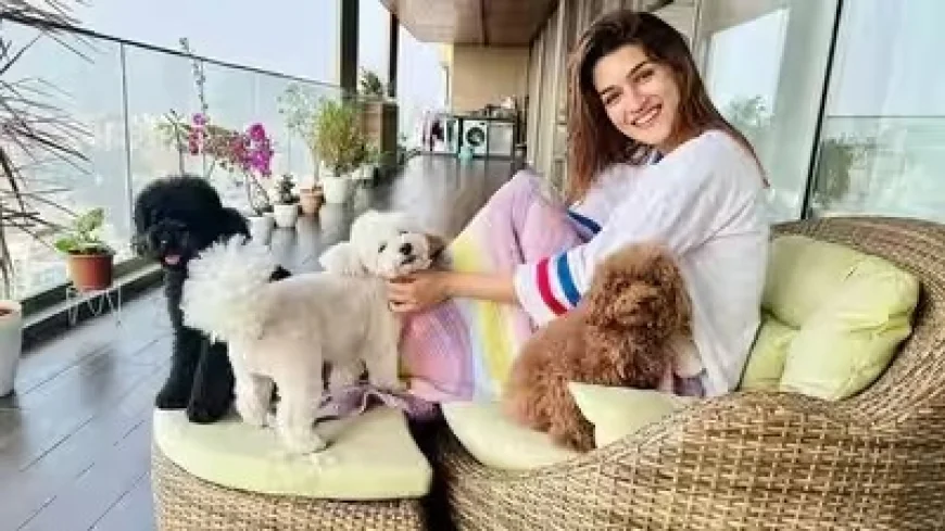 Inside Kriti Sanon's ₹78 Crore Sea-Facing Dream Home: Clubhouse, Yoga Deck, Private Terrace & Luxury Beyond Imagination