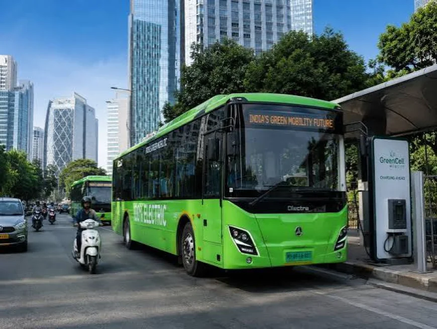 Who Bears the Cost of India’s Green Mobility Transition?