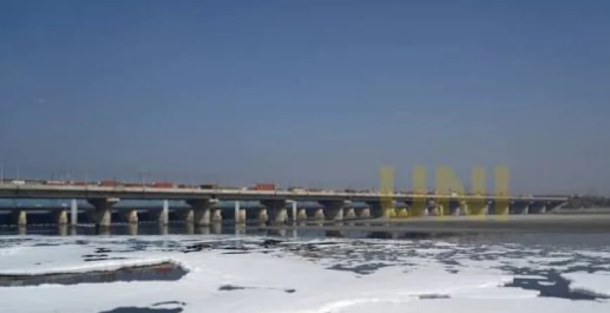 Delhi's Yamuna Covered in Thick Foam Near Kalindi Kunj After Heavy Rains
