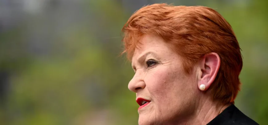 Australian Court Rejects Pauline Hanson's Appeal in 'Go Back to Pakistan' Defamation Case